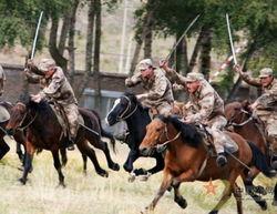 骑兵连在线观看,重温经典战火岁月  第1张
